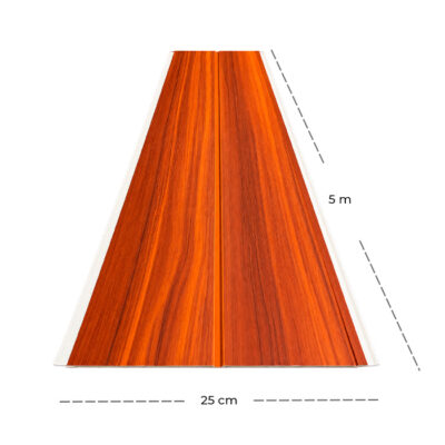 Cielo Raso / T3029